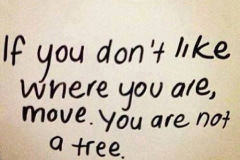 Ifyoudontlike